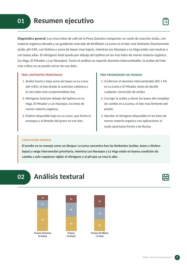 Resumen ejecutivo y análisis textural