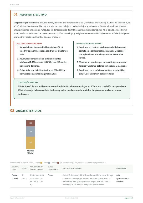 Resumen ejecutivo del lote 1